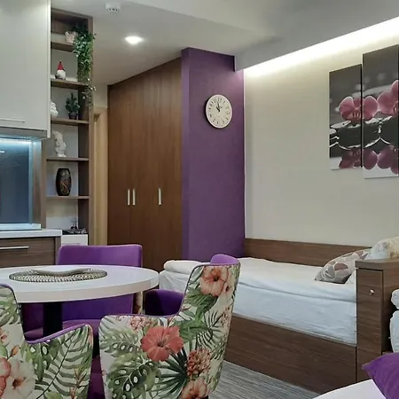 Apartment Select Lux Konaci Kopaonik