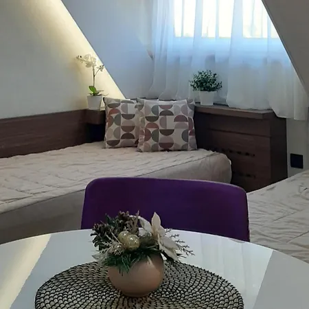 Select Lux Konaci Apartment Kopaonik